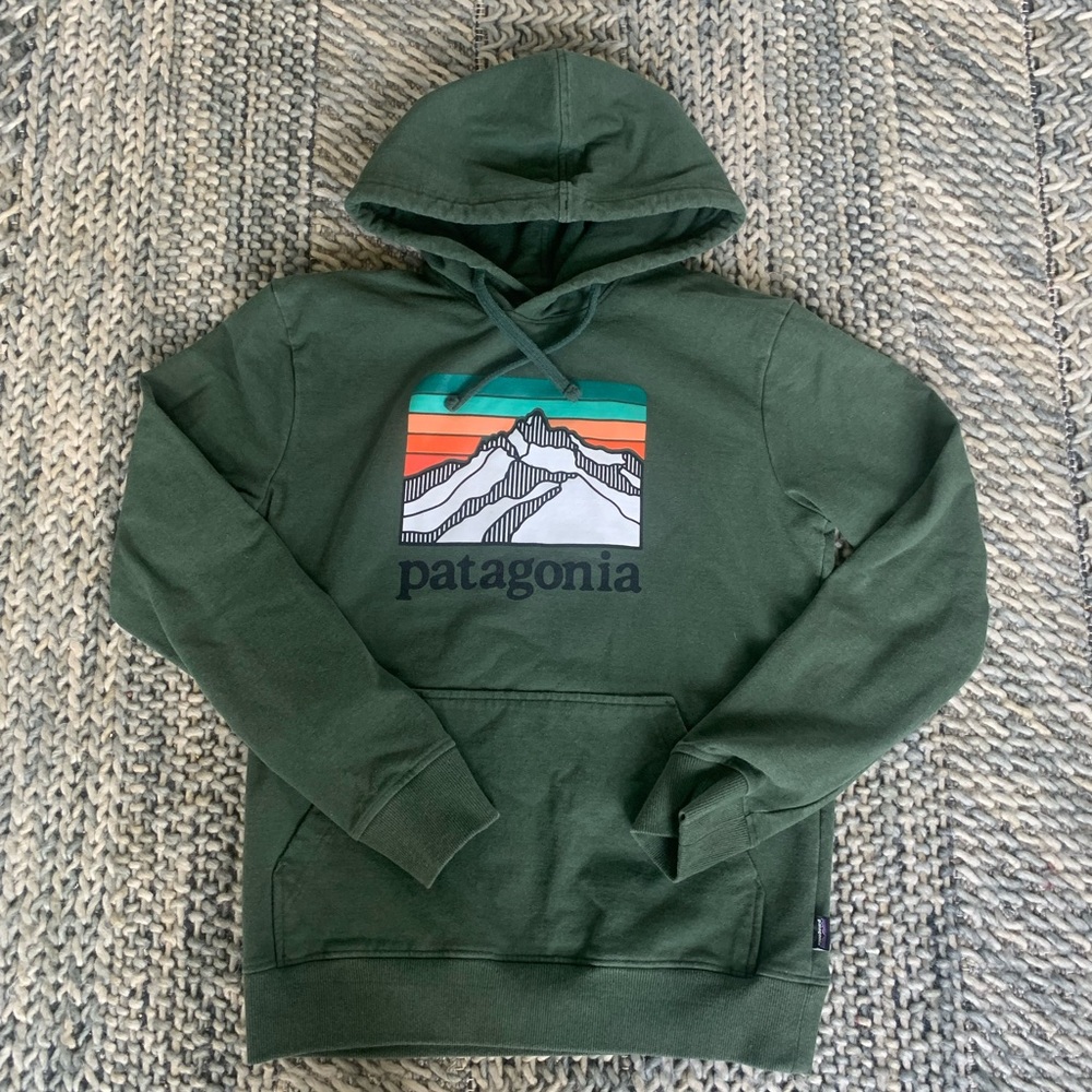 Mens hooded Patagonia hoodie
